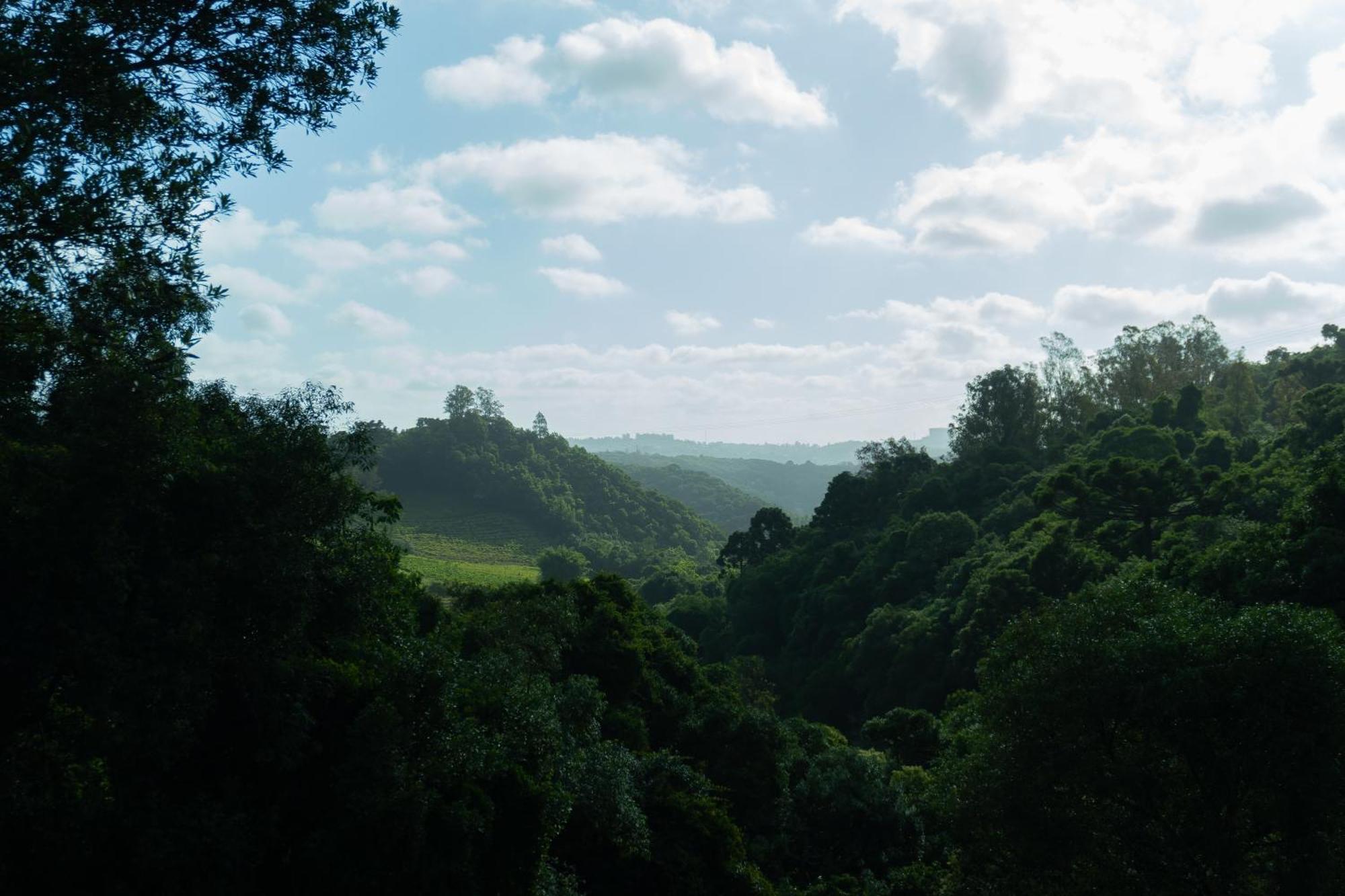 Vila Chale Seiva Da Terra Pinto Bandeira Exteriér fotografie